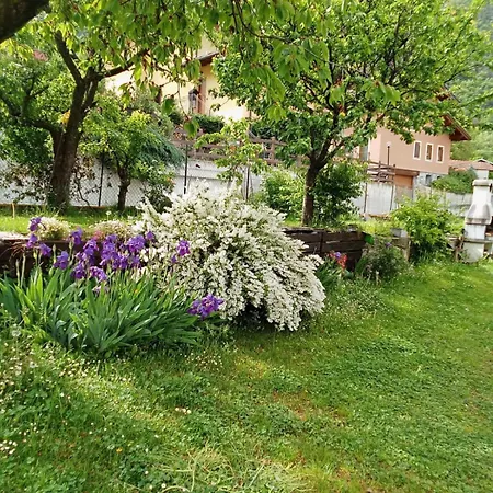 La Maison Des Fleurs *